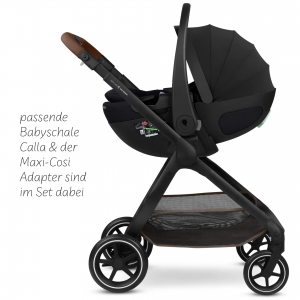 Carucior 3 in 1 City Life Nature ABC Design